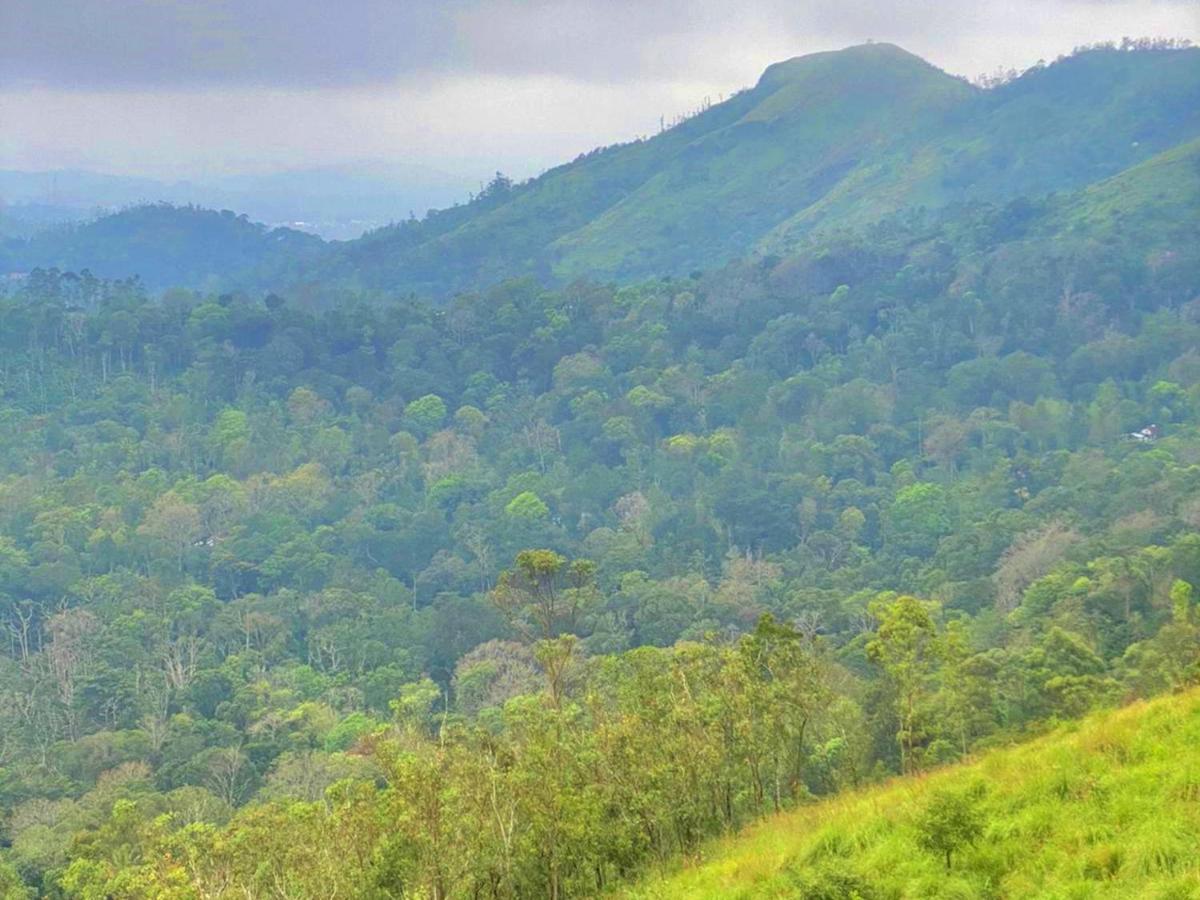 The Windy Mist Resort Munnar Chinnakanal Eksteriør billede