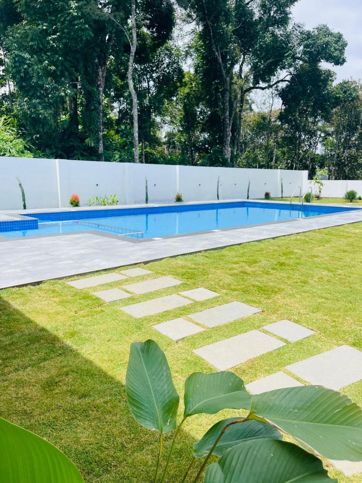 The Windy Mist Resort Munnar Chinnakanal Eksteriør billede